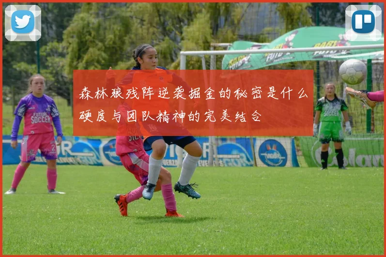 森林狼残阵逆袭掘金的秘密是什么硬度与团队精神的完美结合
