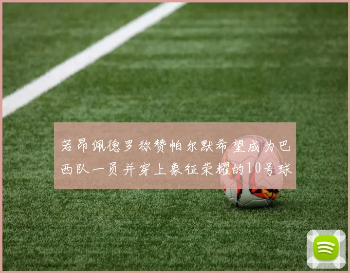 若昂佩德罗称赞帕尔默希望成为巴西队一员并穿上象征荣耀的10号球衣